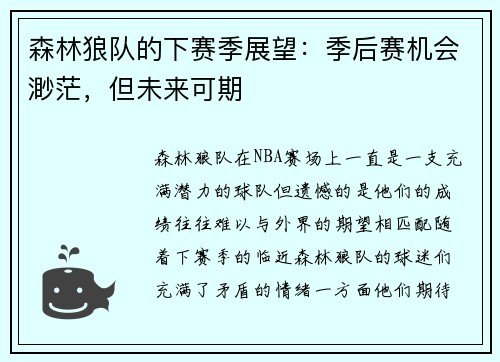 森林狼队的下赛季展望：季后赛机会渺茫，但未来可期